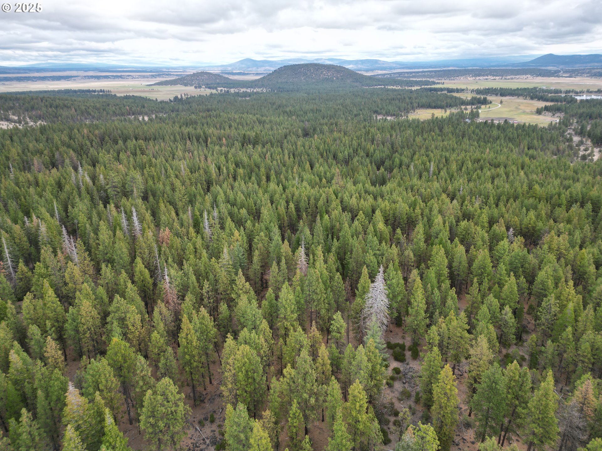0 Whiskey Creek Road Sprague River, OR 97639 - Photo 11 of 41 a view of a lush green forest with lush green forest