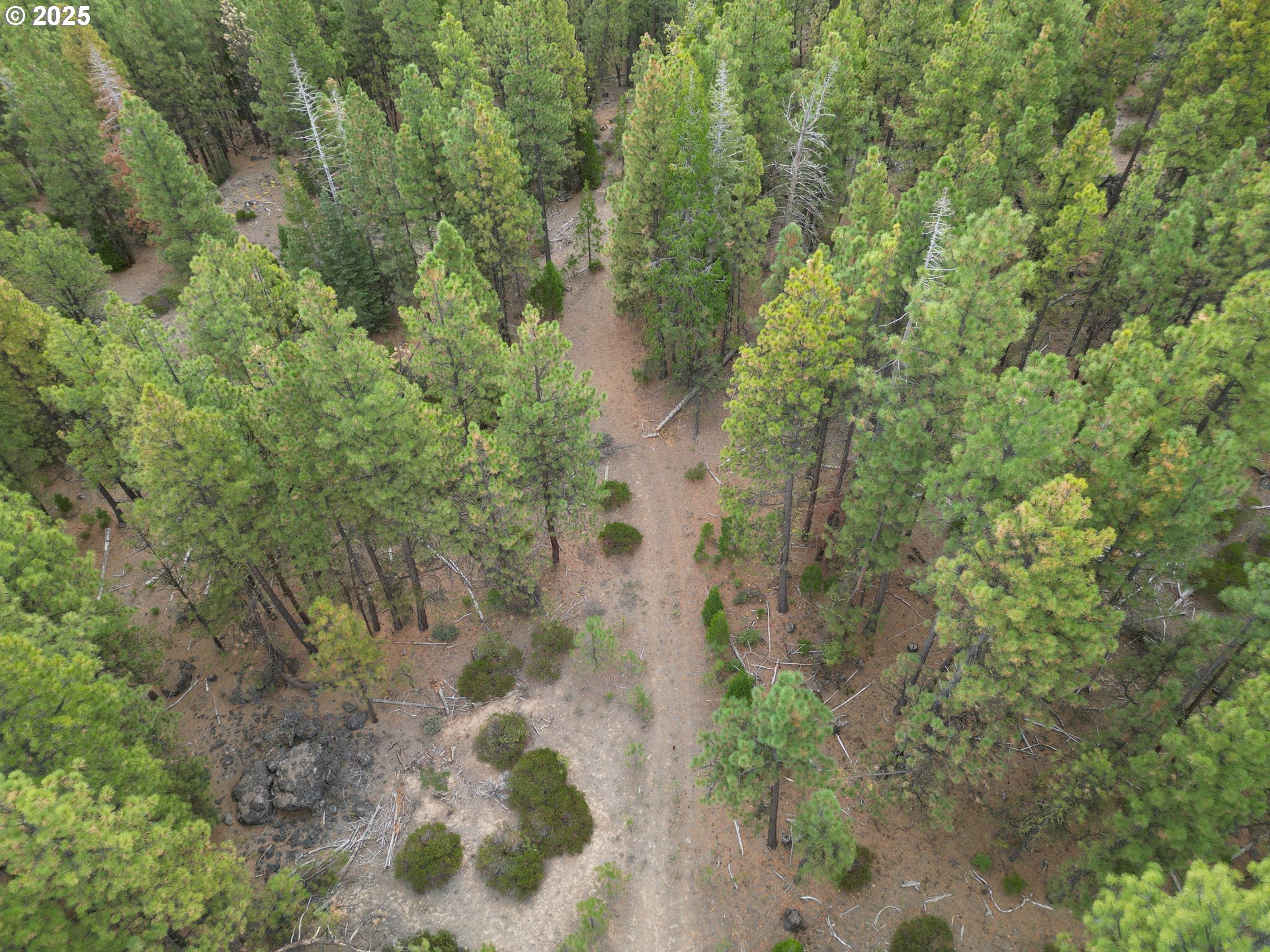 0 Whiskey Creek Road Sprague River, OR 97639 - Photo 13 of 41 a view of a forest with trees