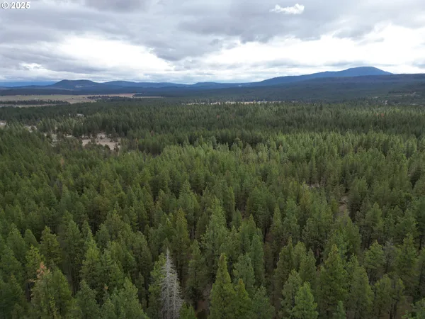 a view of a city with lush green forest