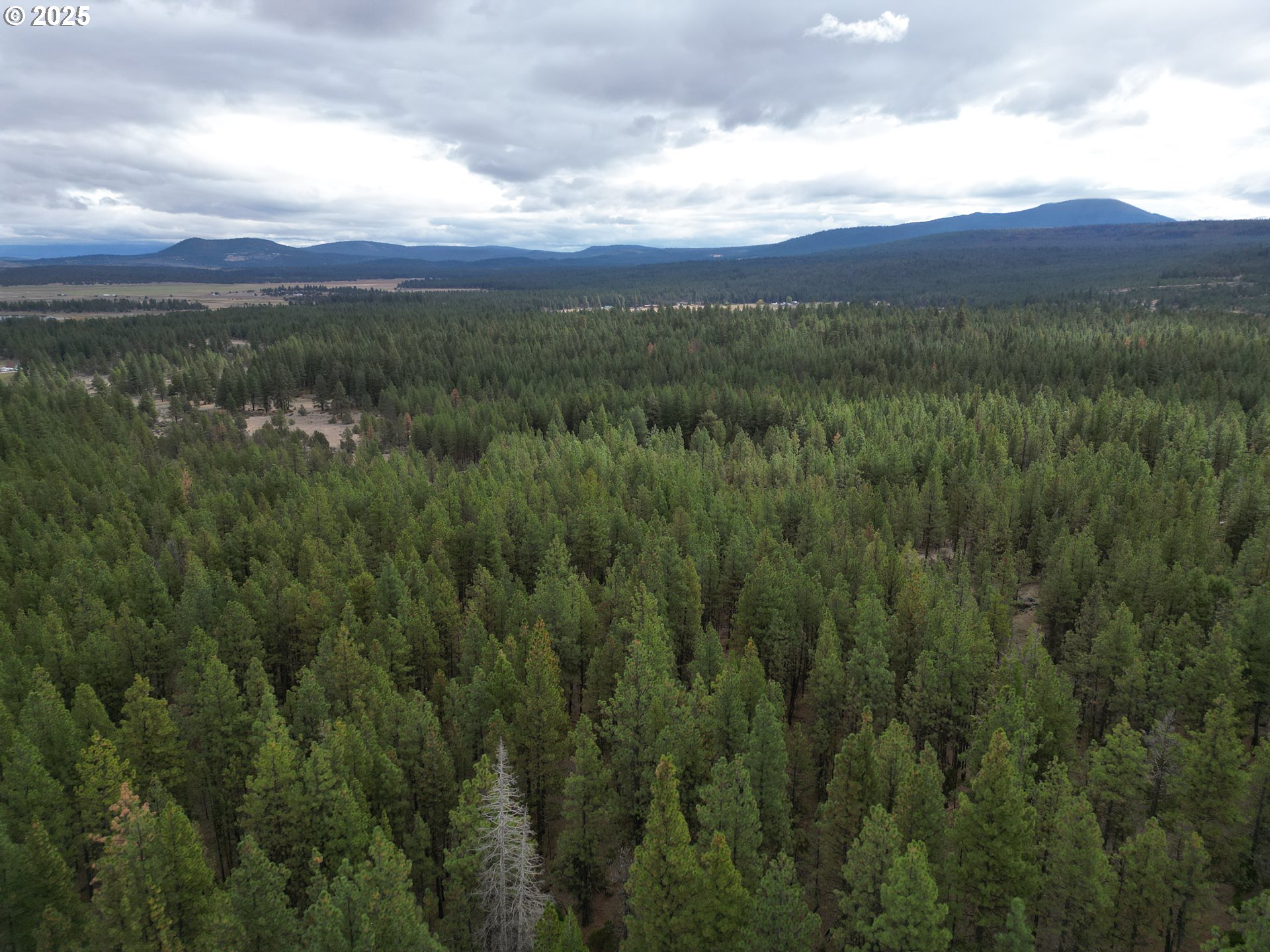 0 Whiskey Creek Road Sprague River, OR 97639 - Photo 16 of 41 a view of a city with lush green forest