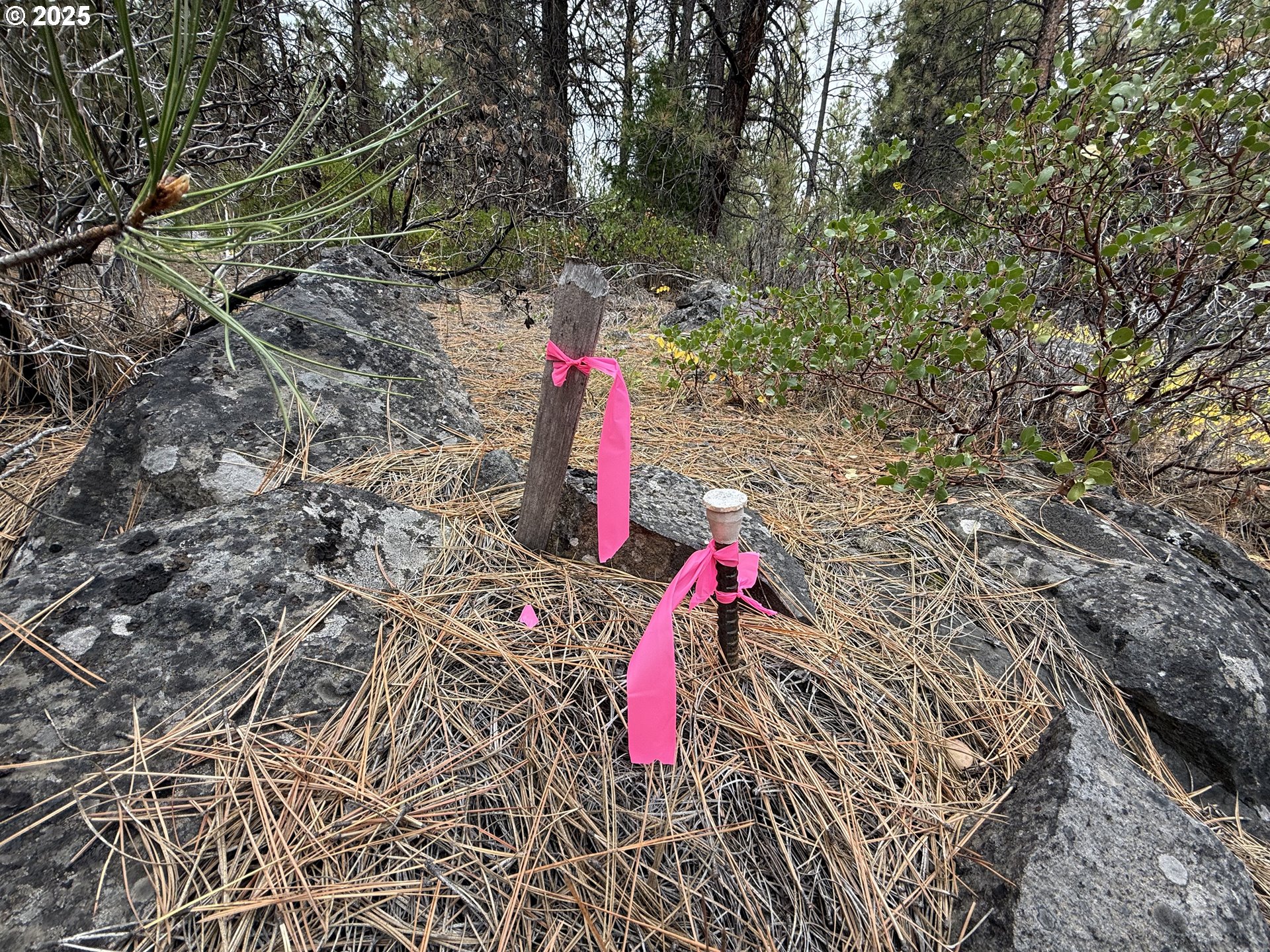0 Whiskey Creek Road Sprague River, OR 97639 - Photo 28 of 41 a view of a backyard of the house