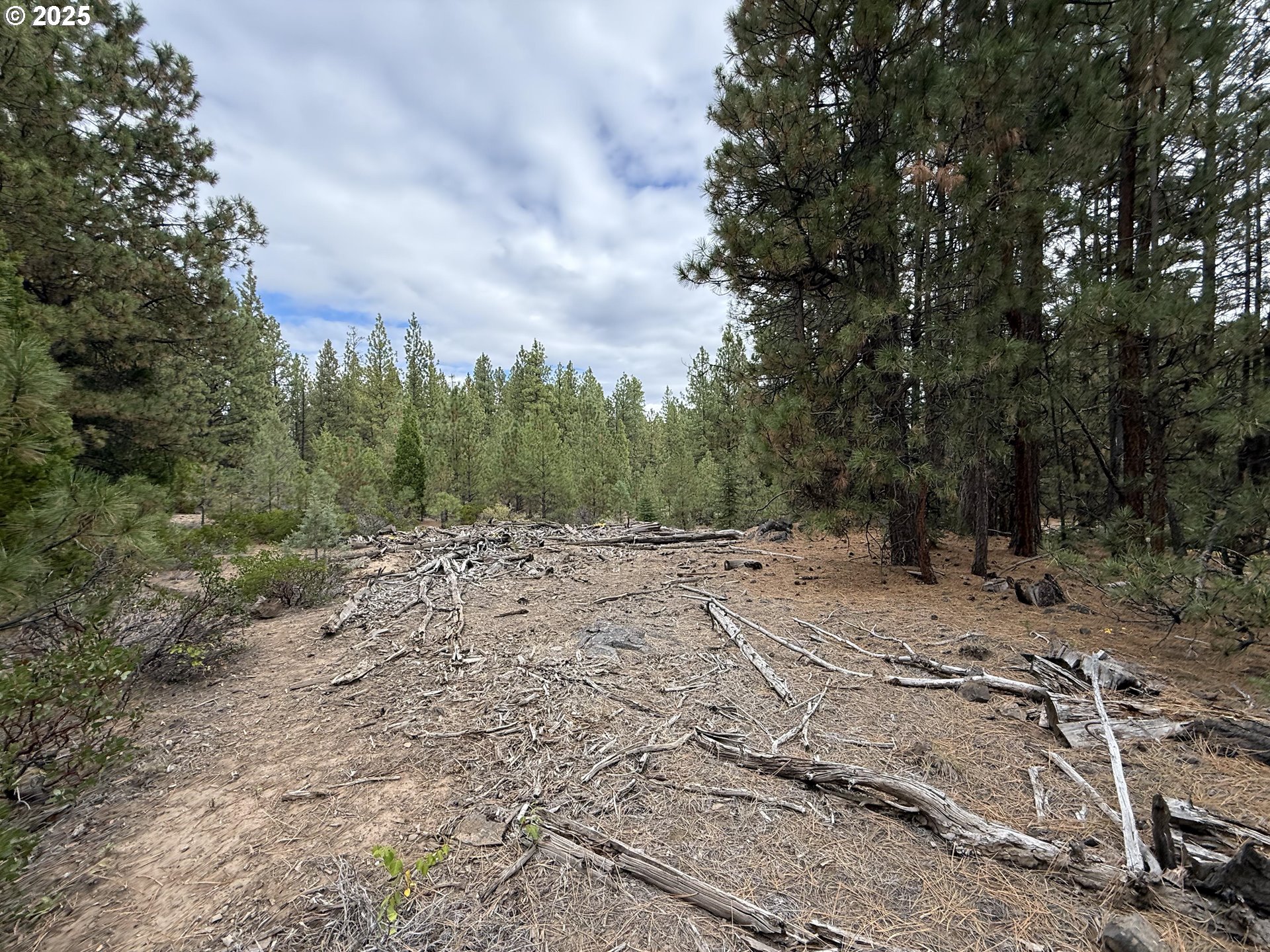 0 Whiskey Creek Road Sprague River, OR 97639 - Photo 30 of 41 a view of a dry yard with trees