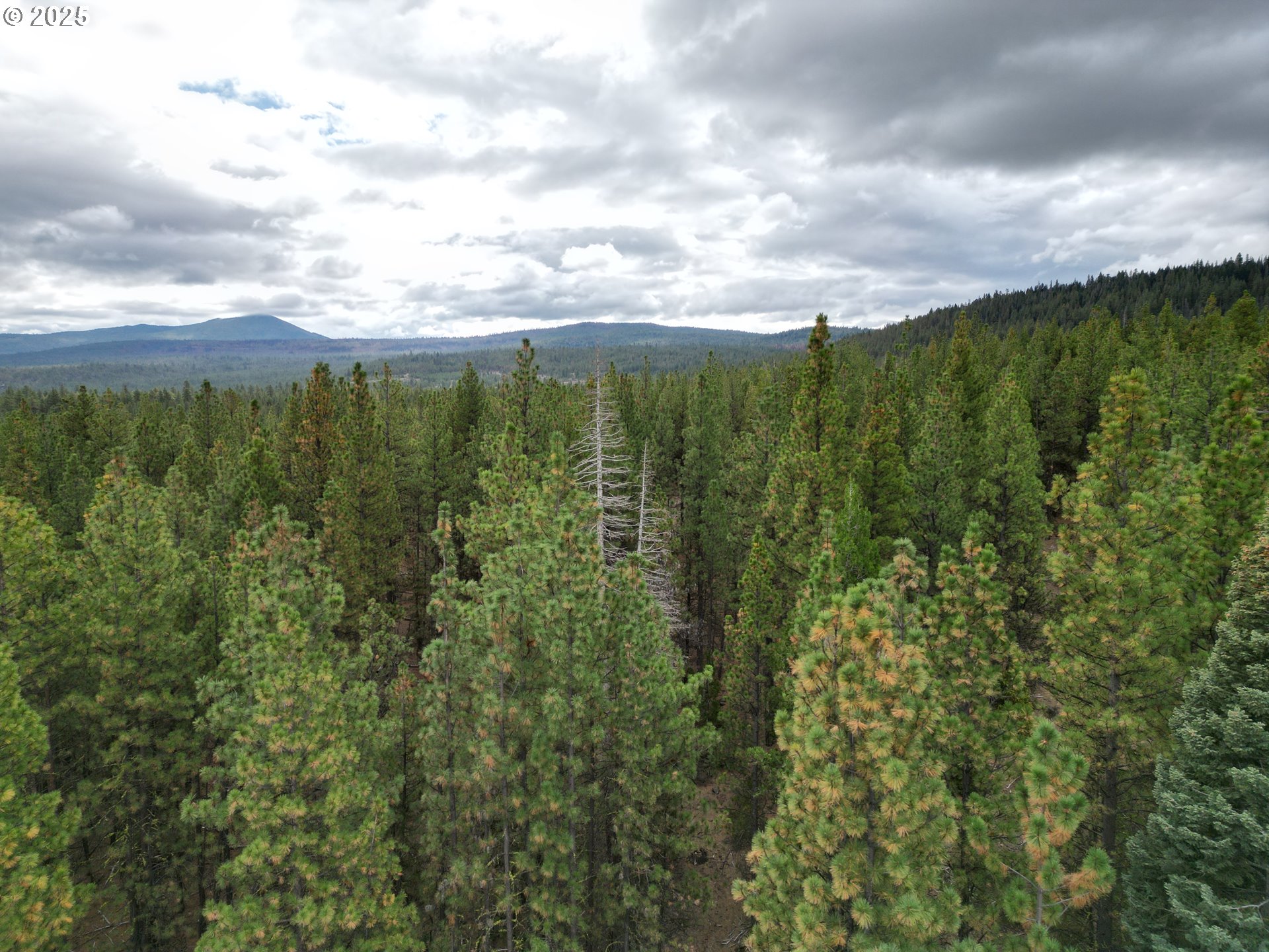0 Whiskey Creek Road Sprague River, OR 97639 - Photo 6 of 41 a view of a green field with lots of bushes