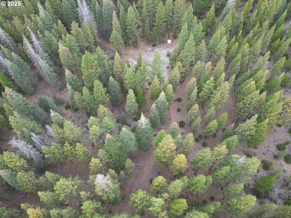 a backyard of a building with lots of trees