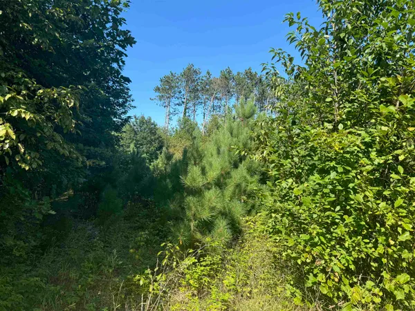 $12,900 | Lake Drive, Unit 36, Gresham, WI 54128