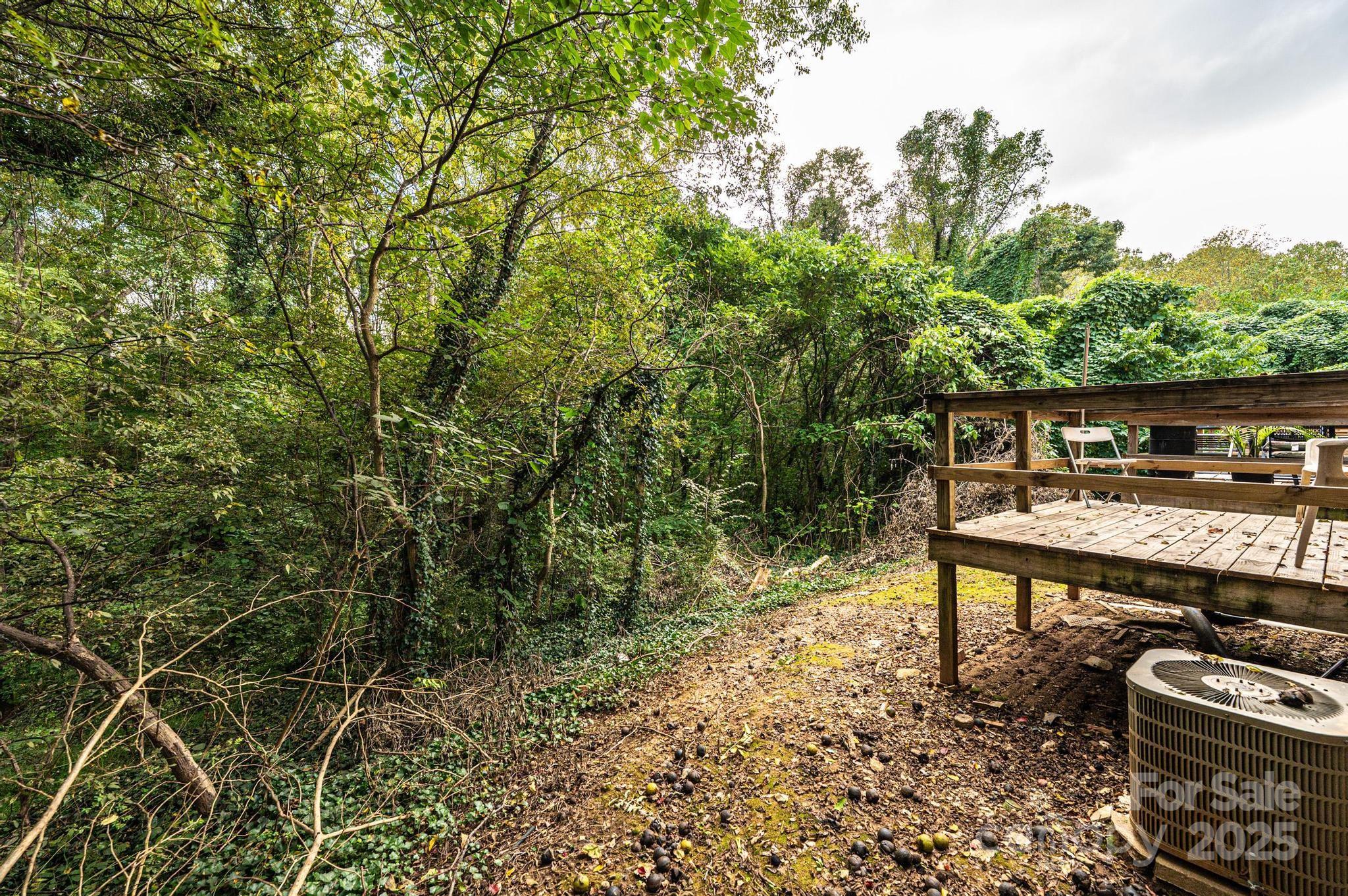 1051 3rd Street Southeast Hickory, NC 28602 - Photo 10 of 47