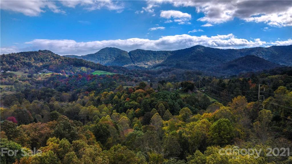 1895 Dutch Cove Road Canton, NC 28716 - Photo 1 of 13 a view of a house with a mountain