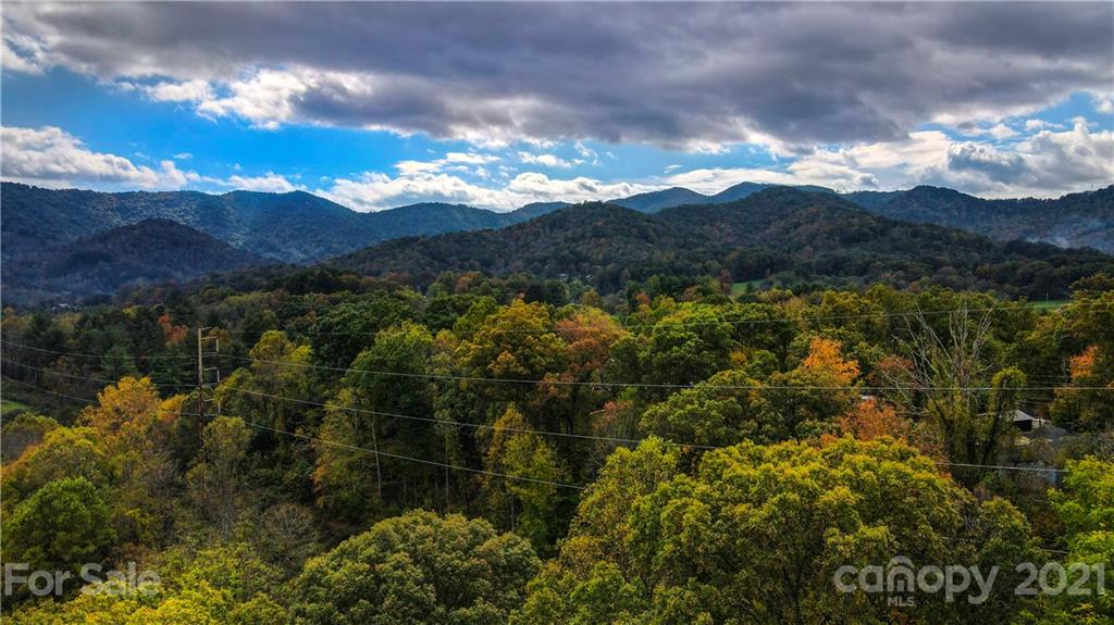 1895 Dutch Cove Road Canton, NC 28716 - Photo 4 of 13 a view of a city