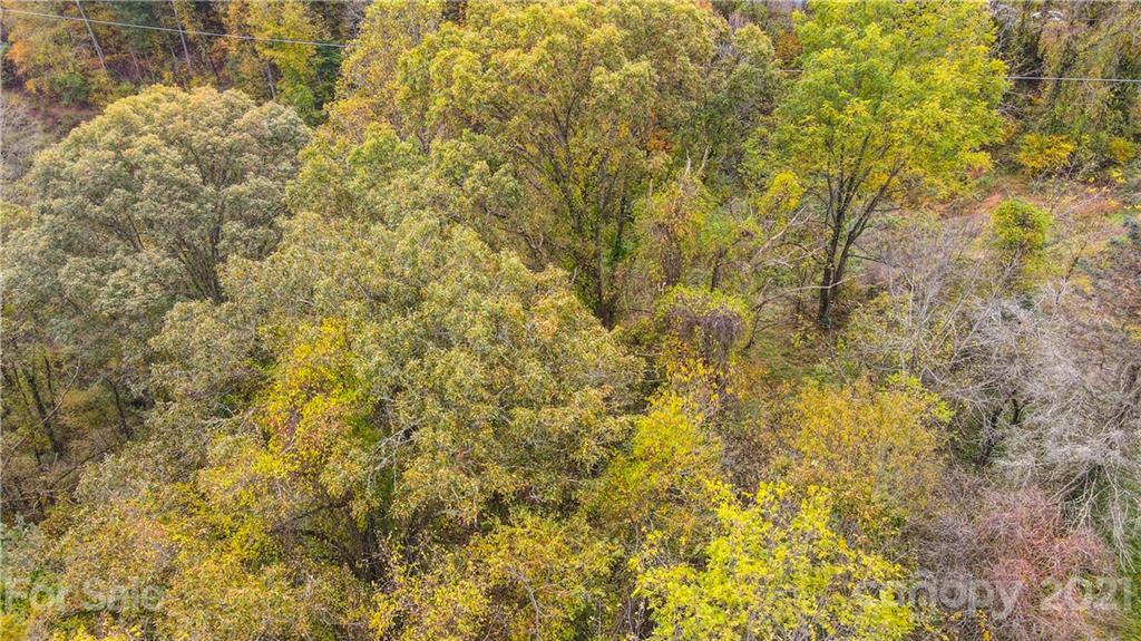 1895 Dutch Cove Road Canton, NC 28716 - Photo 6 of 13