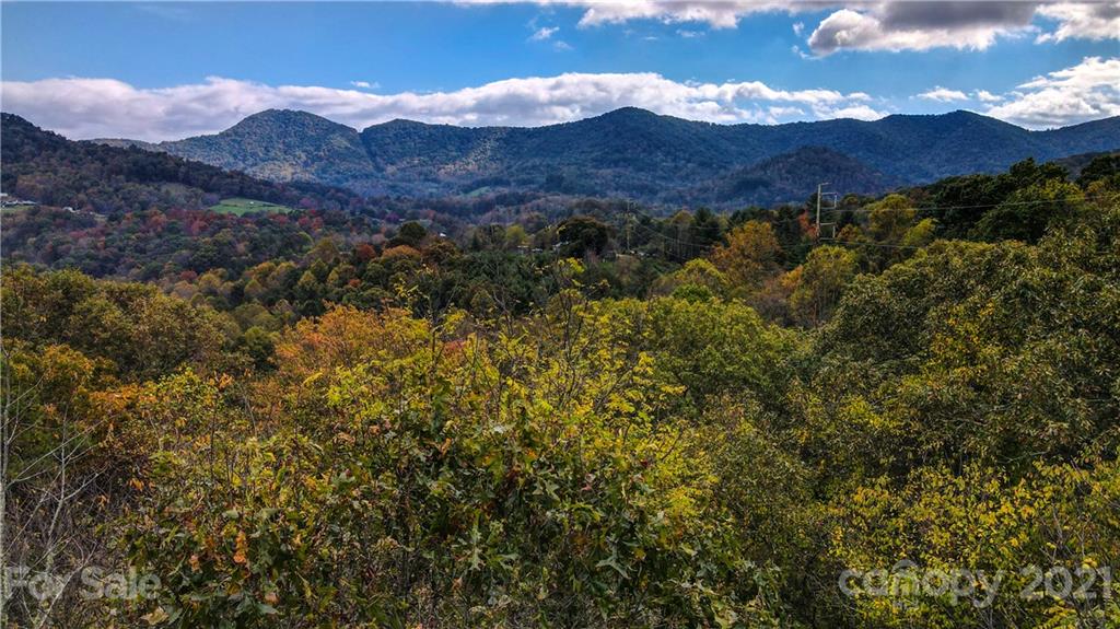 1895 Dutch Cove Road Canton, NC 28716 - Photo 8 of 13 a view of a bunch of trees in the distance