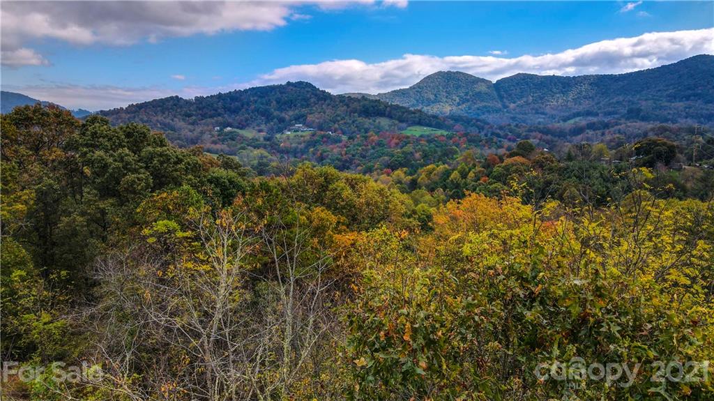 1895 Dutch Cove Road Canton, NC 28716 - Photo 9 of 13 a view of a lush green hillside and a mountain