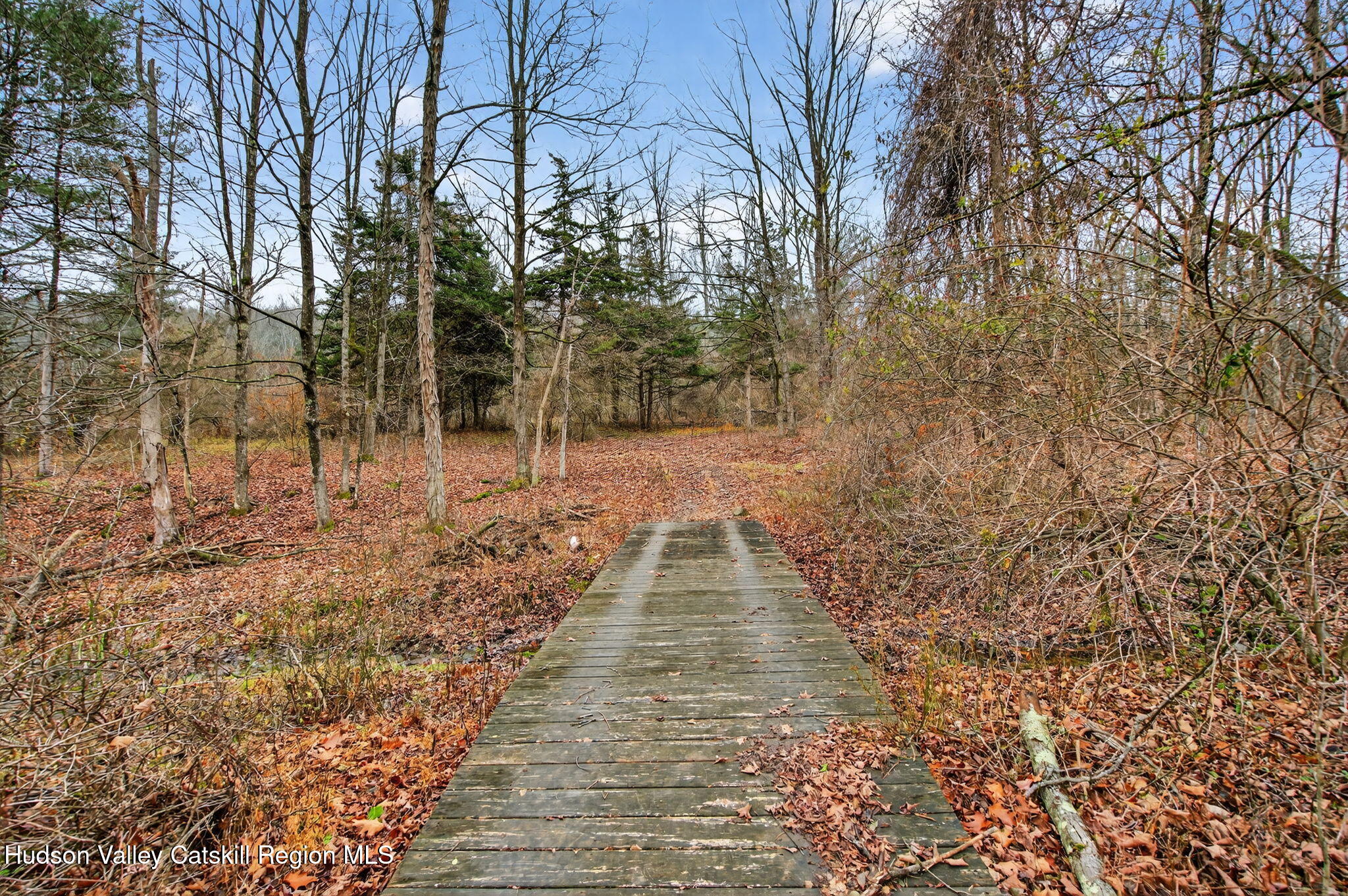 320 Shady Glen Road East Durham, NY 12423 - Photo 33 of 47 a view of empty room with lots of trees