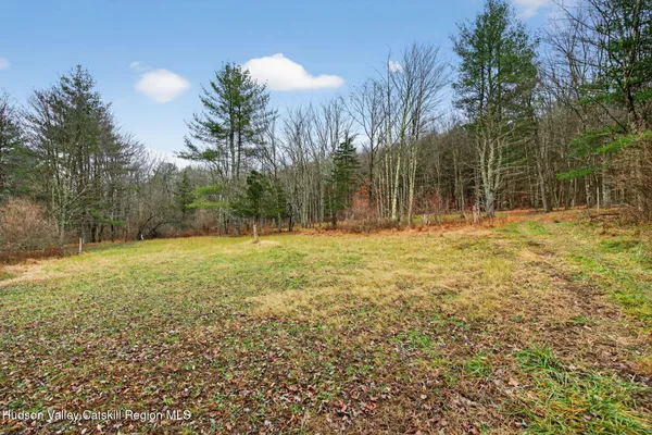 a backyard of a house with lots of tall trees