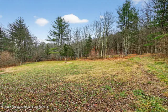 a backyard of a house with lots of tall trees