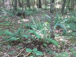 0 Flint Morgan Road Mars Hill, NC 28754 - Photo 1 of 1 Gallery Image 1