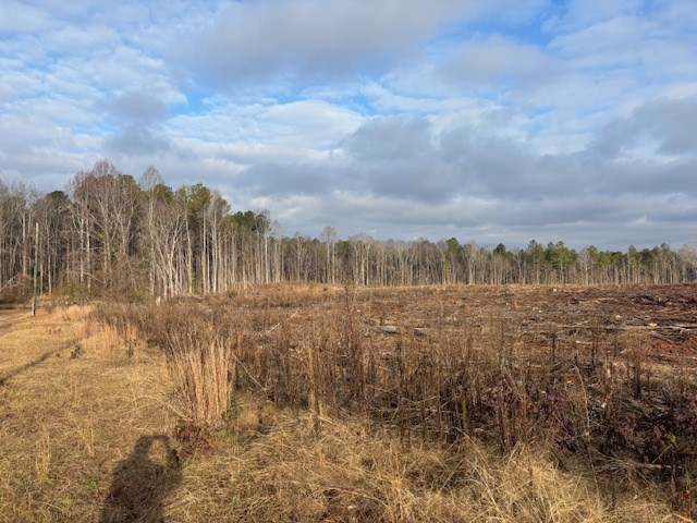 - Chipley Road Greenwood, SC 29646 - Photo 32 of 34
