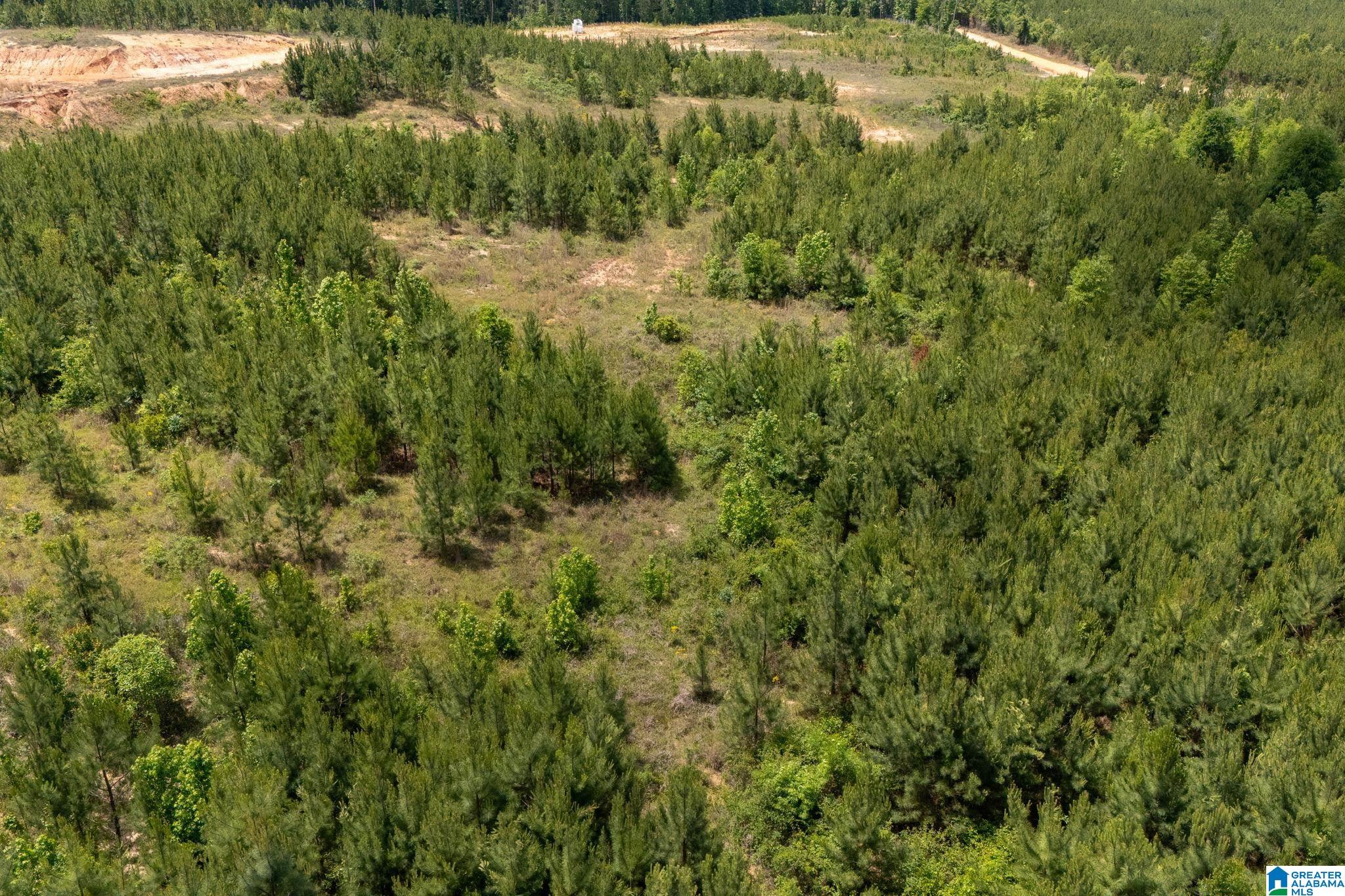16 County Road Maplesville, AL 36750 - Photo 22 of 26