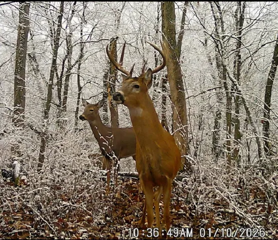 $239,900 | 14094 Three Mile Road, Savanna, IL 61074