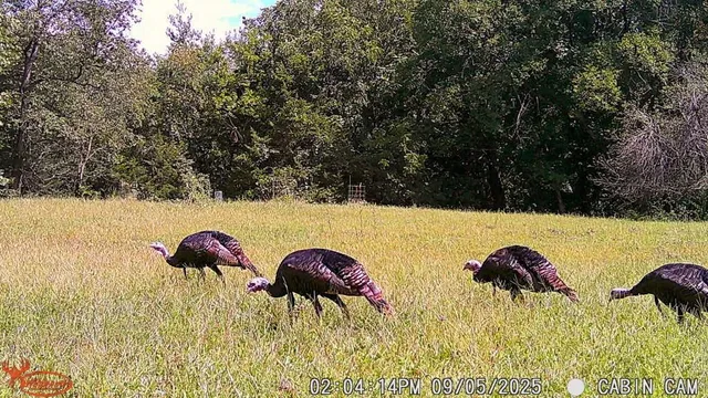 a view of swimming pool from a lake view