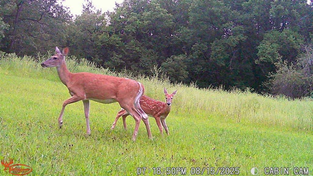 14094 Three Mile Road Savanna, IL 61074 - Photo 13 of 24 a view of swimming pool from a lake view