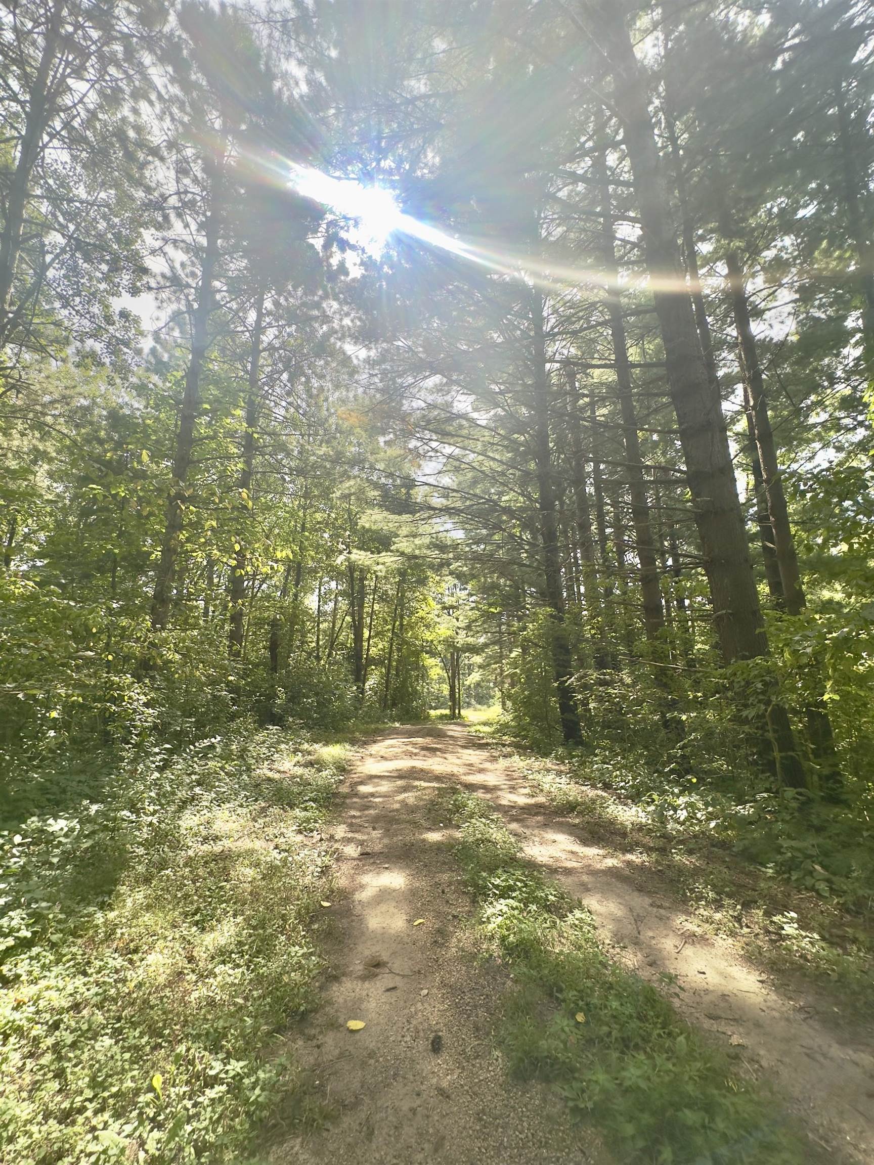 14094 Three Mile Road Savanna, IL 61074 - Photo 15 of 24 a view of a yard