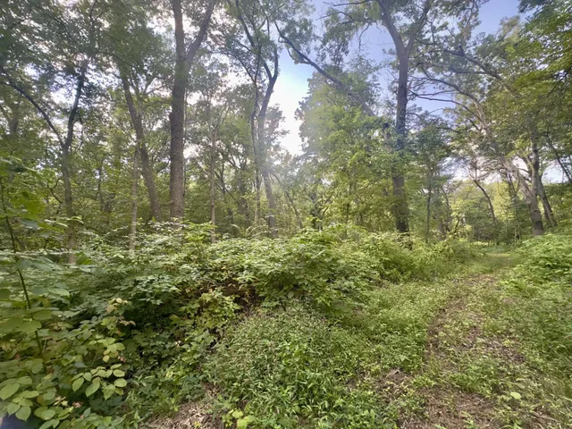 $239,900 | 14094 Three Mile Road, Savanna, IL 61074