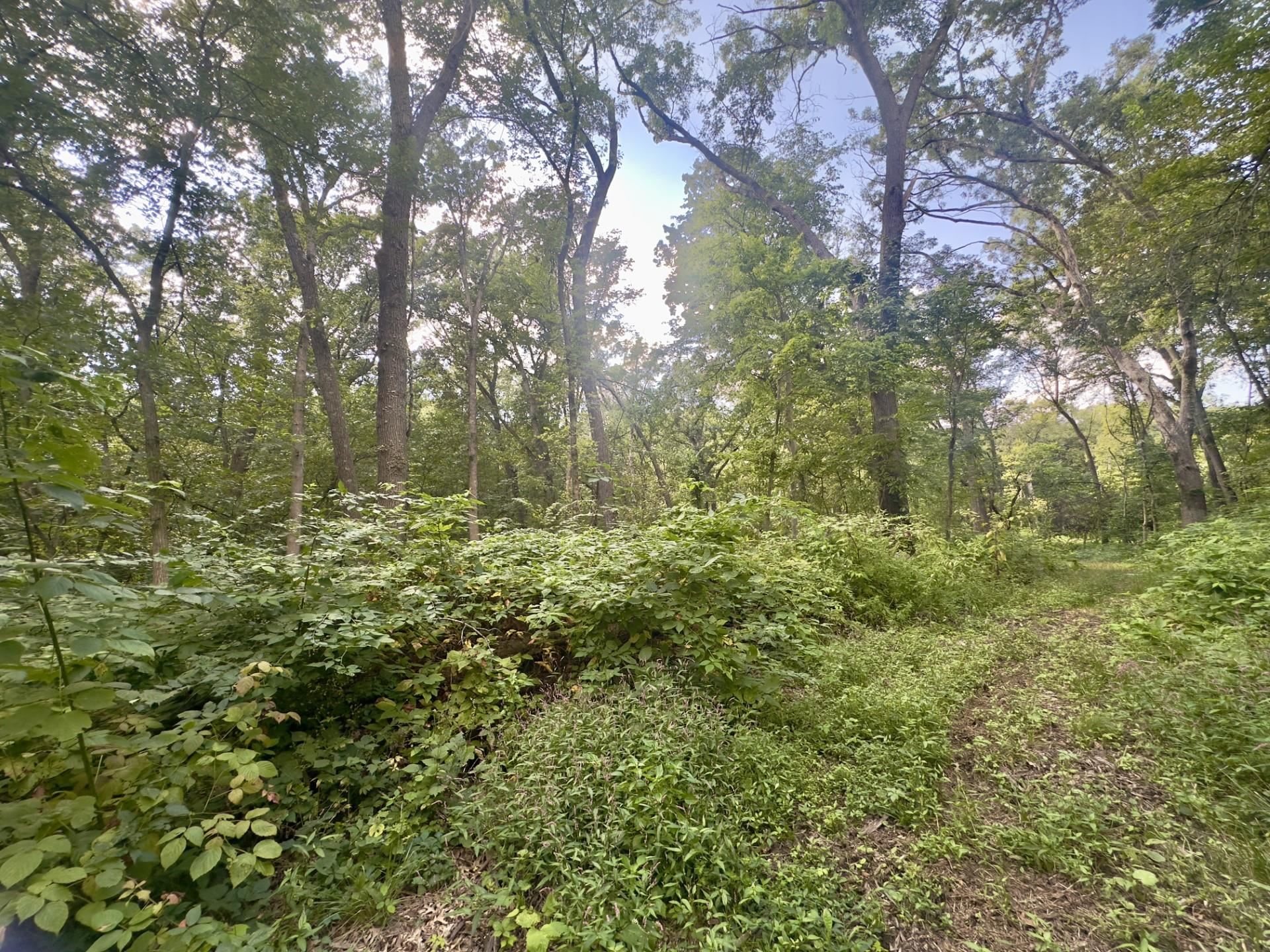 14094 Three Mile Road Savanna, IL 61074 - Photo 21 of 24