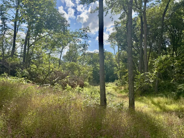 $239,900 | 14094 Three Mile Road, Savanna, IL 61074