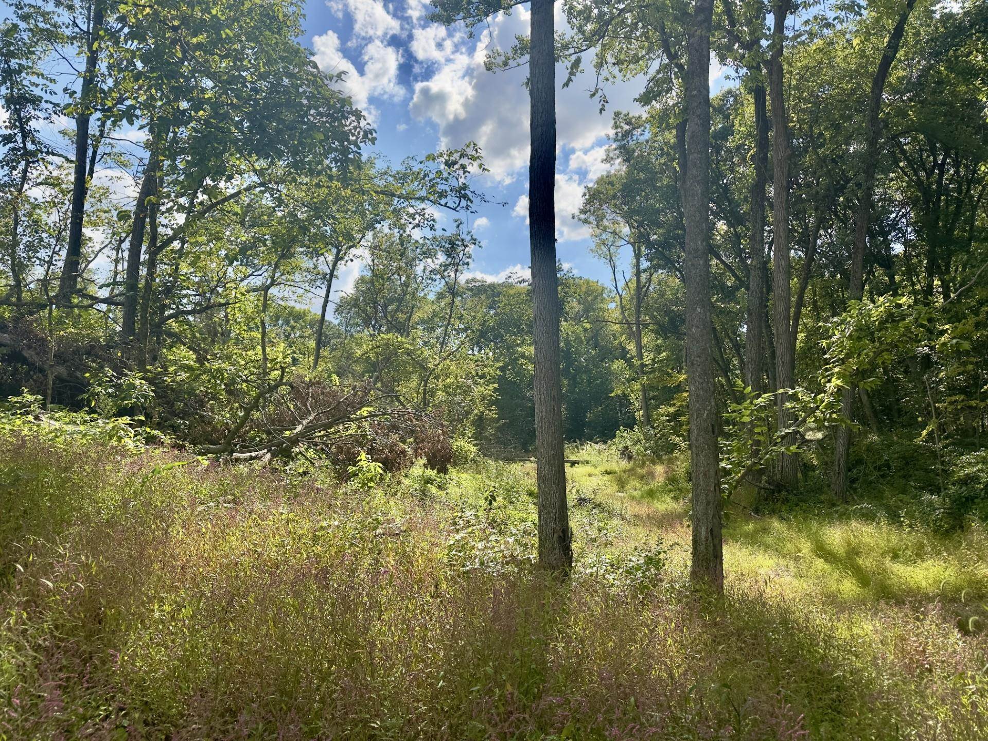 14094 Three Mile Road Savanna, IL 61074 - Photo 23 of 24 a view of lake view