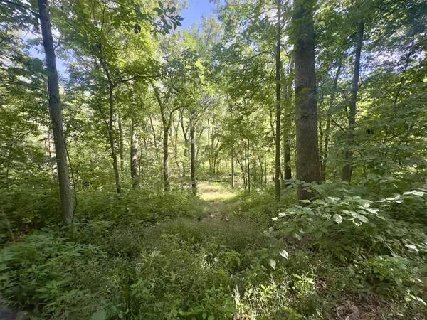 a view of outdoor space and trees