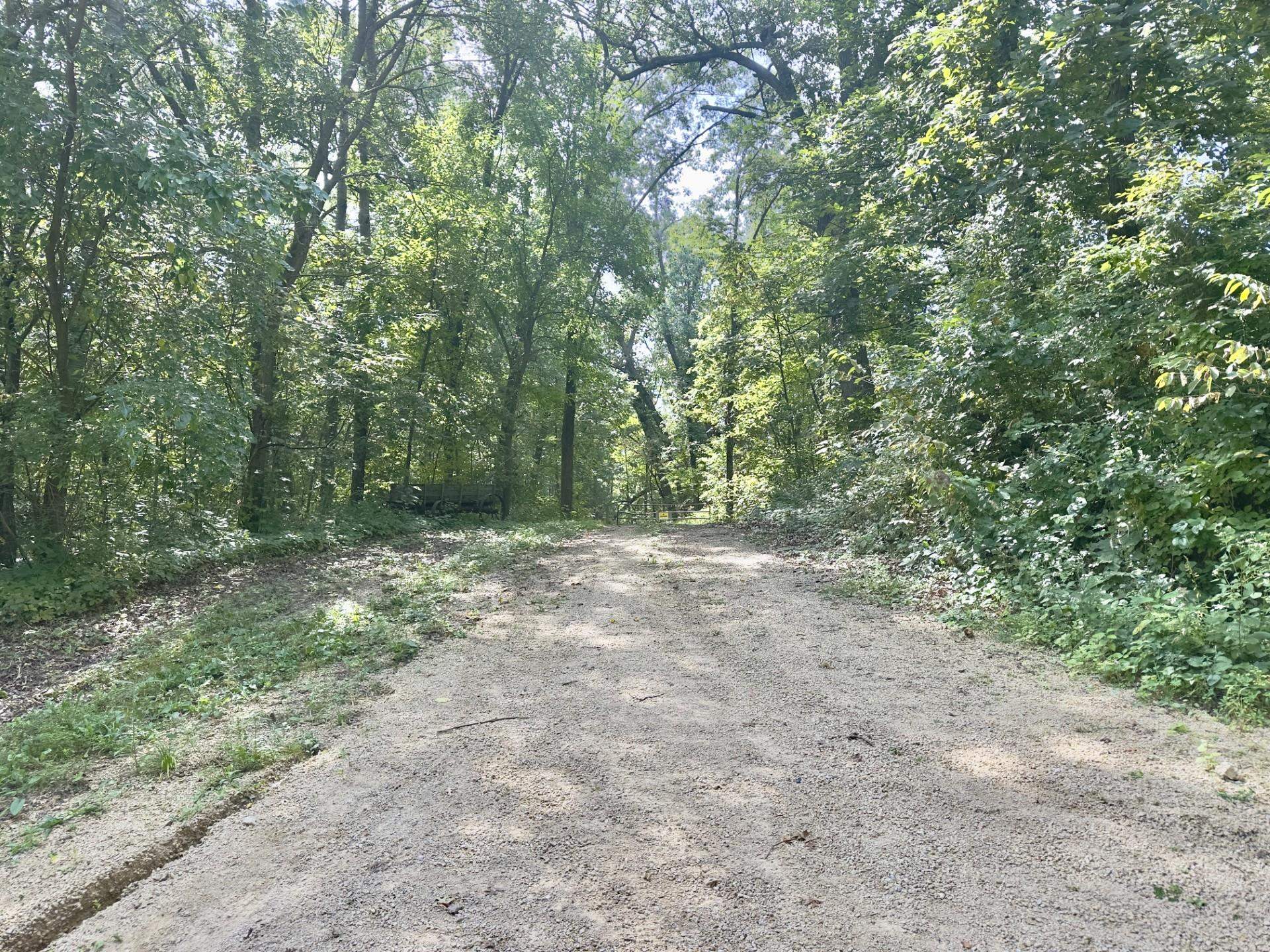 14094 Three Mile Road Savanna, IL 61074 - Photo 7 of 24 a view of outdoor space and trees
