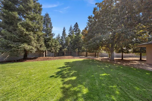 a view of a swimming pool with a yard