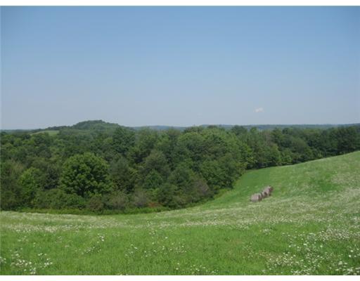 363 Ridge Road Rural Valley, PA 16249 - Photo 17 of 18 Land.