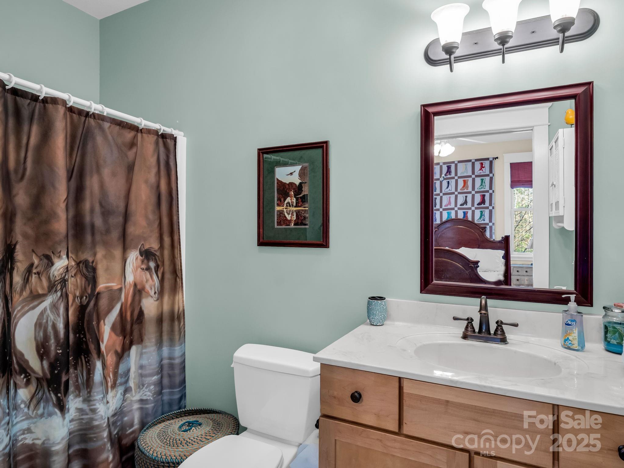 765 Higher Path Drive Saluda, NC 28773 - Photo 28 of 43 a bathroom with a granite countertop sink mirror vanity and toilet
