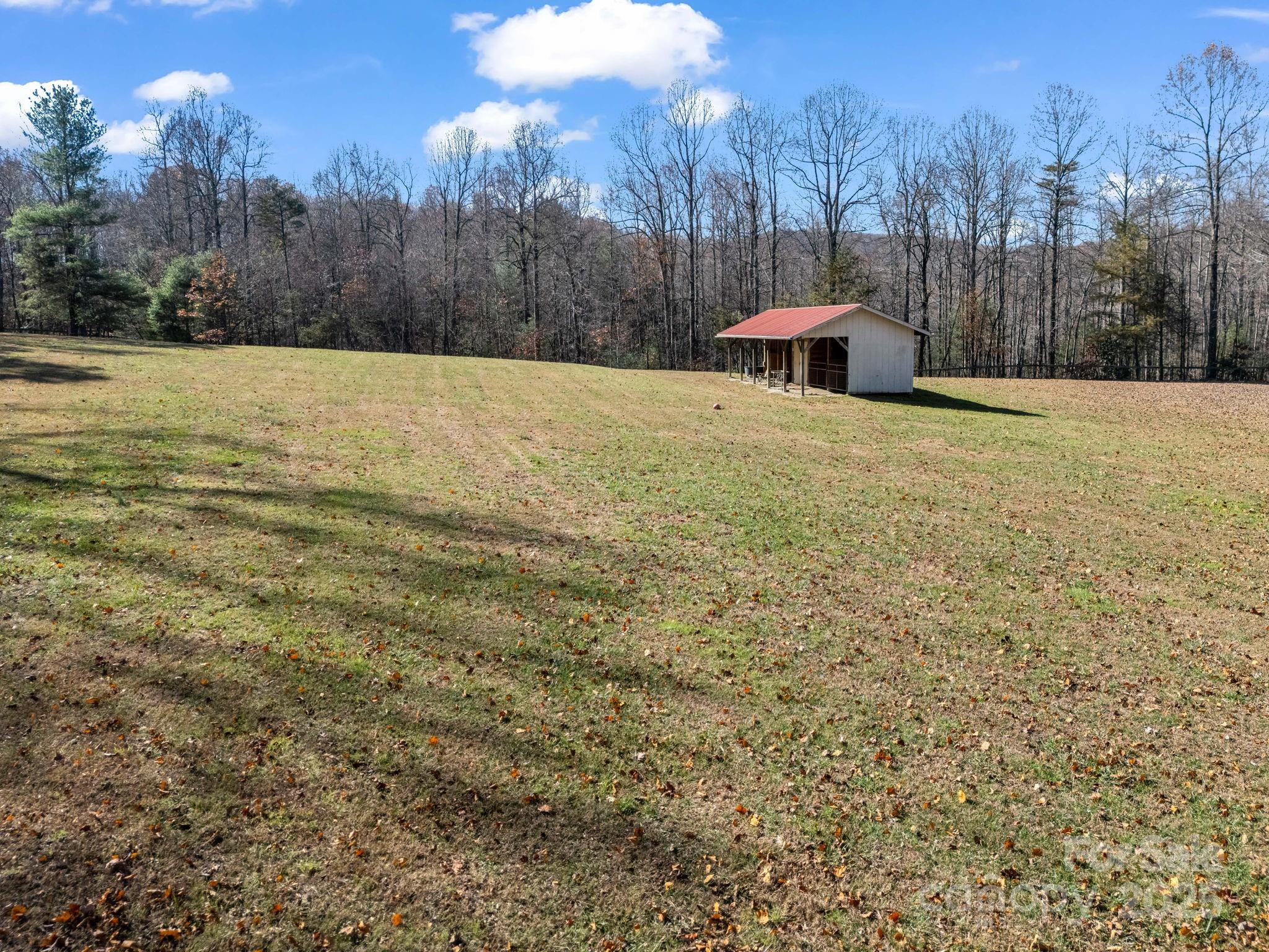 765 Higher Path Drive Saluda, NC 28773 - Photo 38 of 43 a front view of a house with a yard and trees