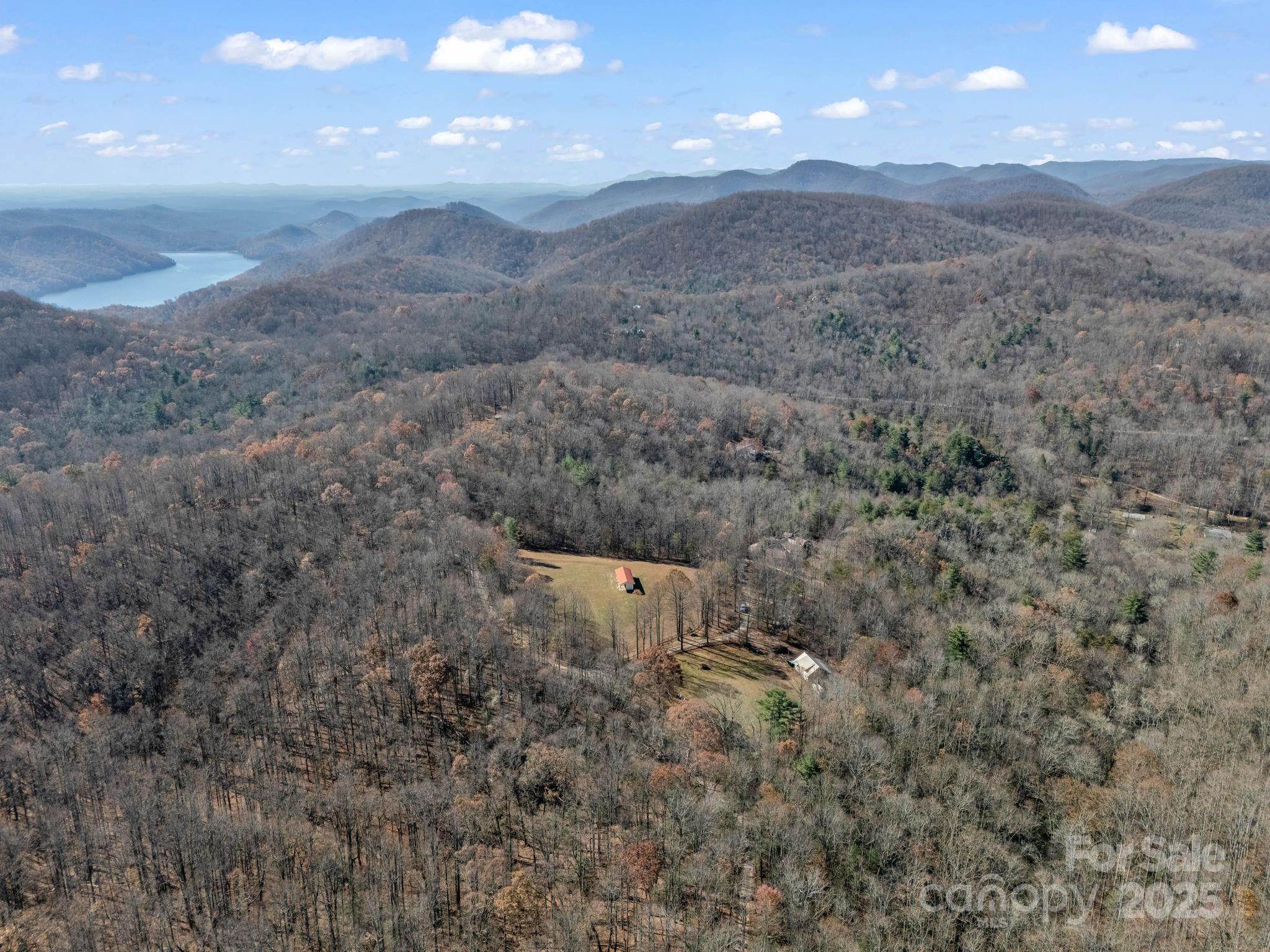 765 Higher Path Drive Saluda, NC 28773 - Photo 39 of 43 a view of a dry yard