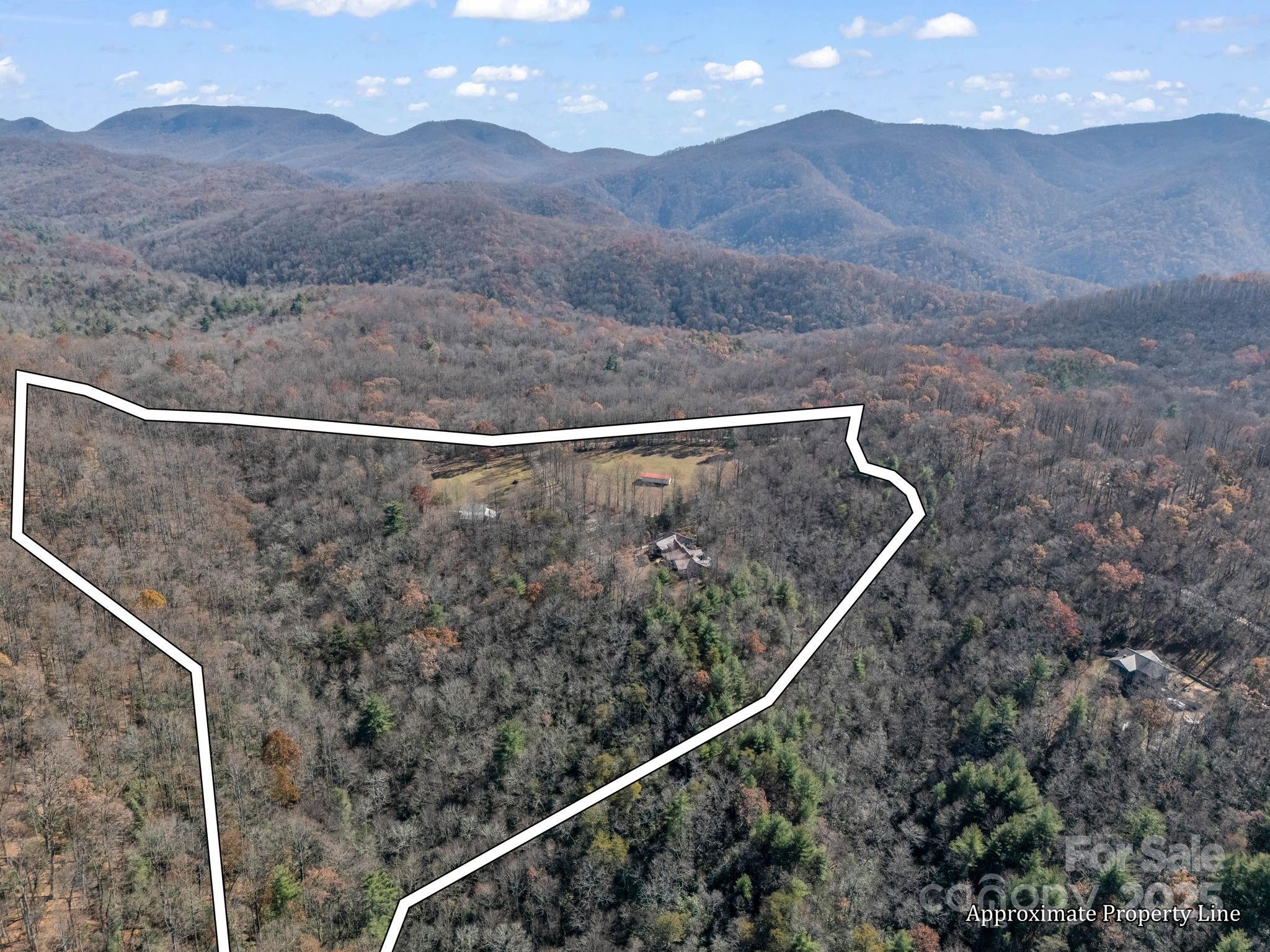 765 Higher Path Drive Saluda, NC 28773 - Photo 41 of 43 a view of a dry yard with mountain view