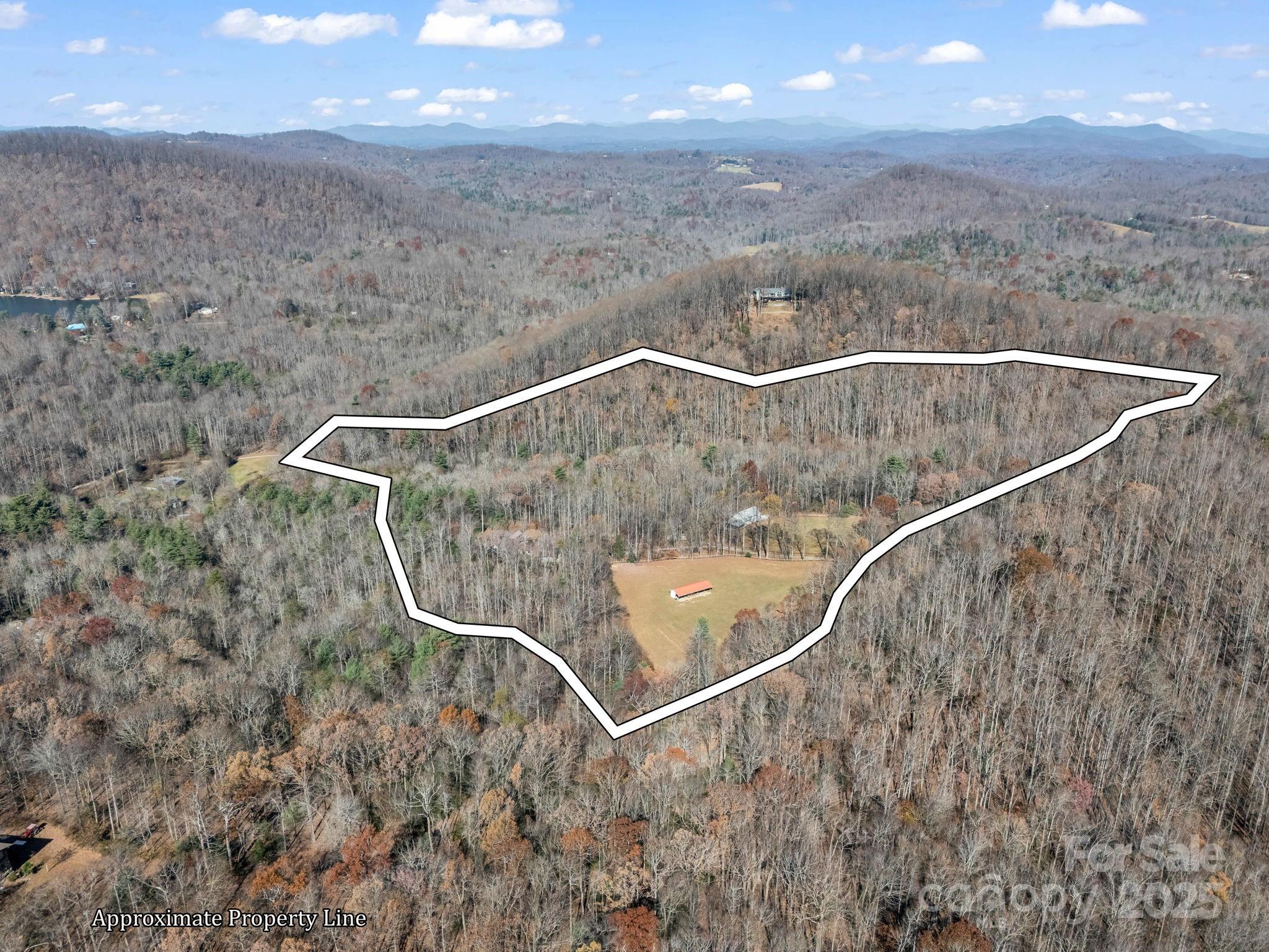 765 Higher Path Drive Saluda, NC 28773 - Photo 42 of 43 a view of a dry yard