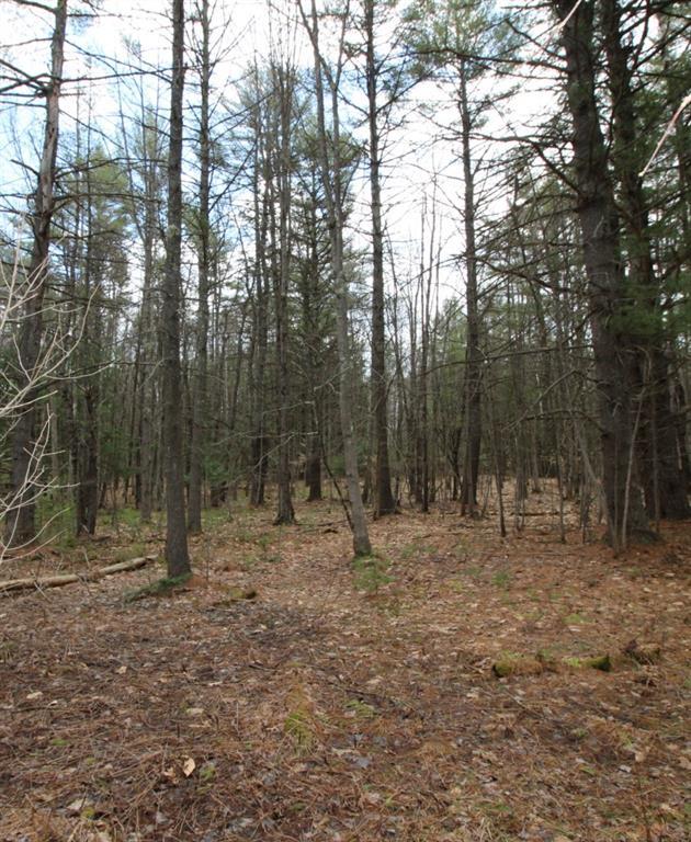 0 Rangers Way Cumberland Center, ME 04021 - Photo 4 of 5 Photo