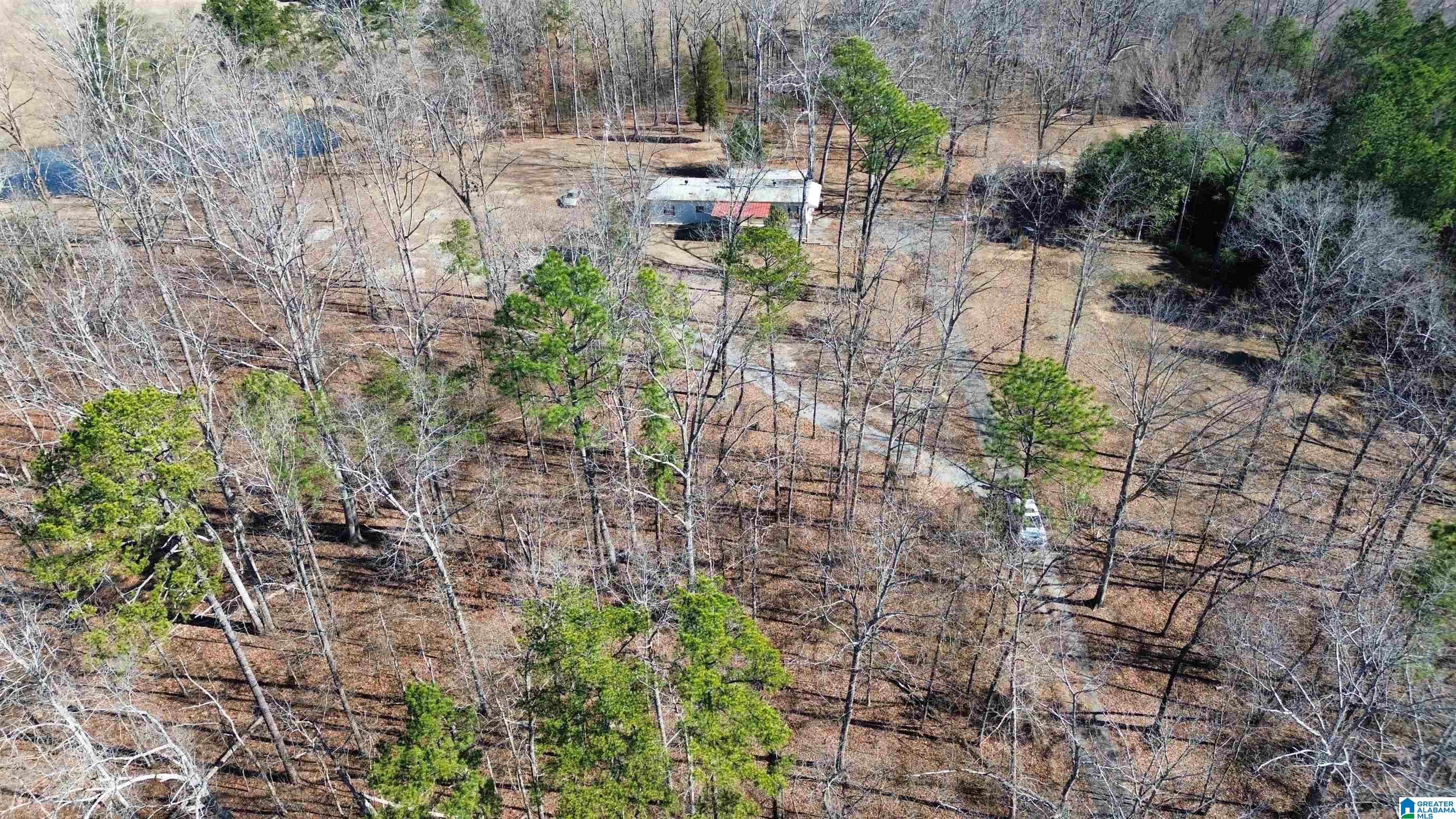 9516 Newell Hill Road Warrior, AL 35180 - Photo 1 of 50 Gallery Image 1