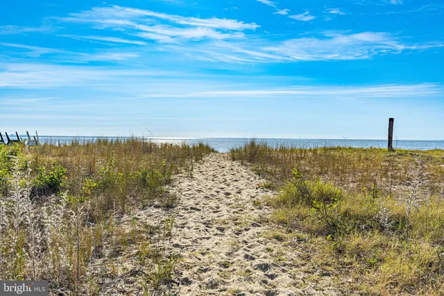 a view of an ocean beach