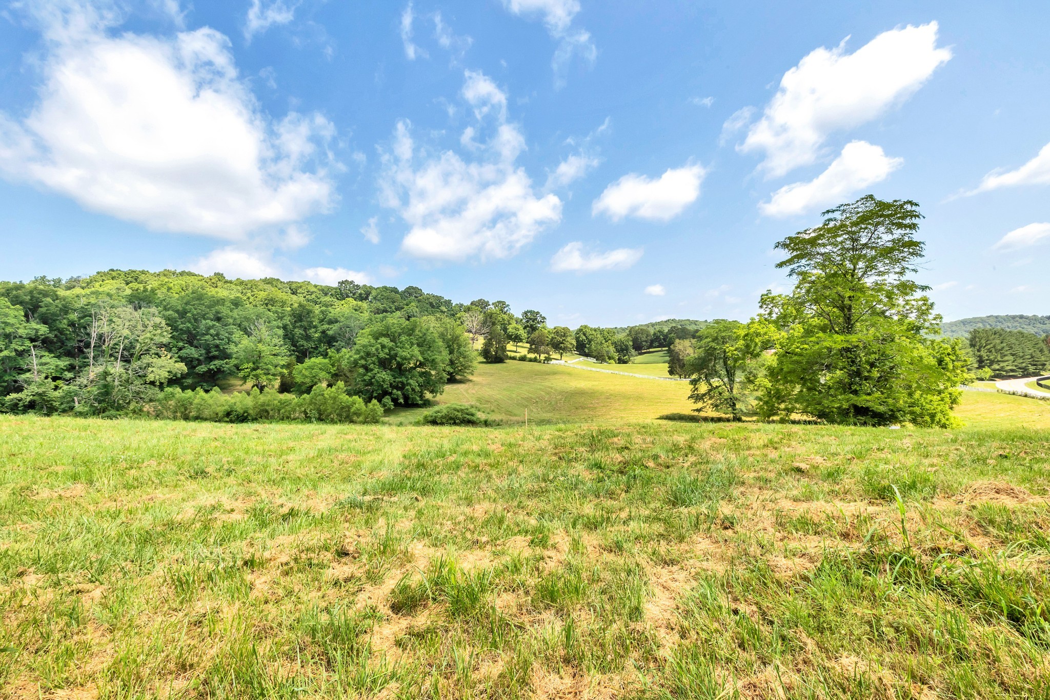 5185 Old Harding Road Fairview, TN 37062 - Photo 5 of 42