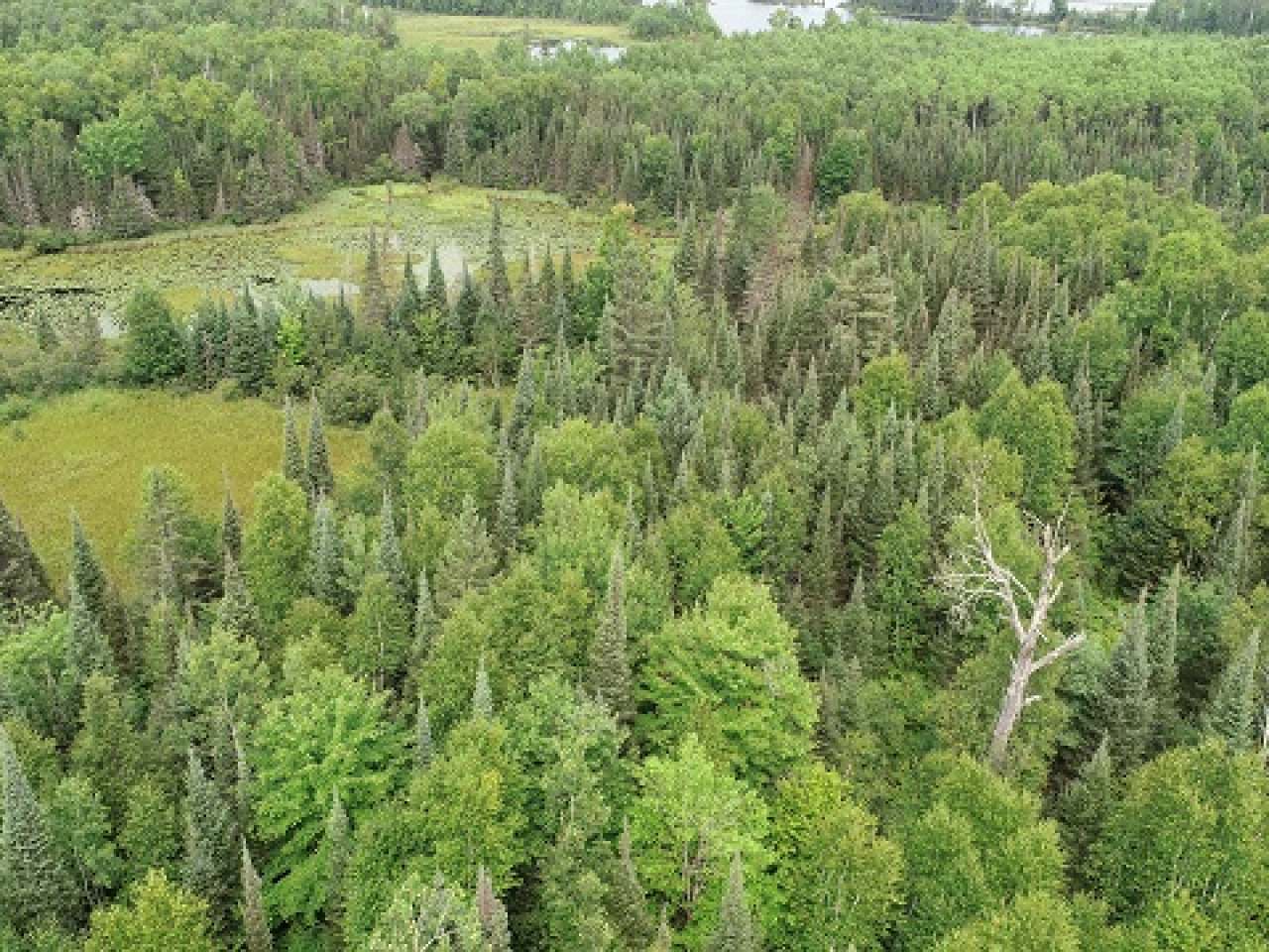 Lot 36 Nathan Pass Mercer, WI 54547 - Photo 29 of 71 Gallery Image 29