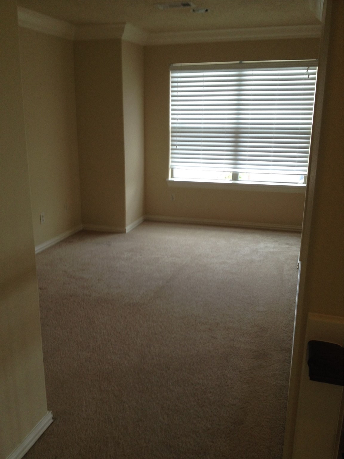 2038 Palm Forest Lane Houston, TX 77077 - Photo 16 of 20