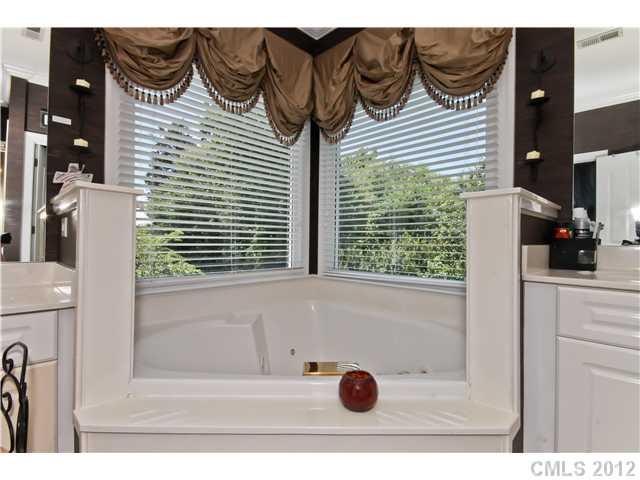 10003 Paradise Ridge Road Charlotte, NC 28277 - Photo 11 of 16 Gallery Image 11