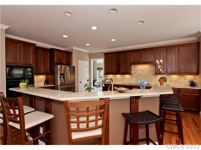 10003 Paradise Ridge Road Charlotte, NC 28277 - Photo 3 of 16 Gallery Image 3