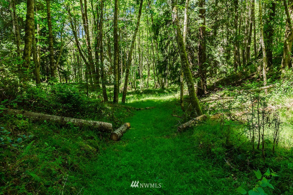 0 Guthrie Cove Road Orcas Island, WA 98280 - Photo 13 of 25 Gallery Image 13
