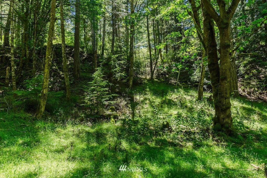 0 Guthrie Cove Road Orcas Island, WA 98280 - Photo 15 of 25 Gallery Image 15