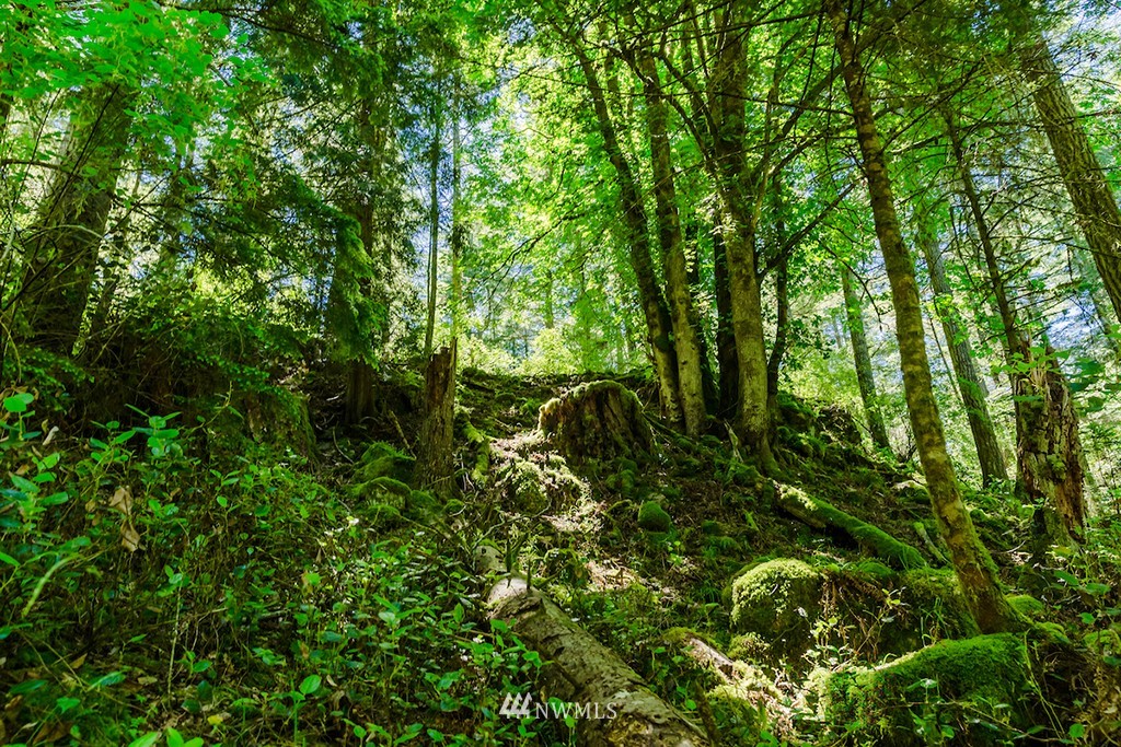 0 Guthrie Cove Road Orcas Island, WA 98280 - Photo 17 of 25 Gallery Image 17