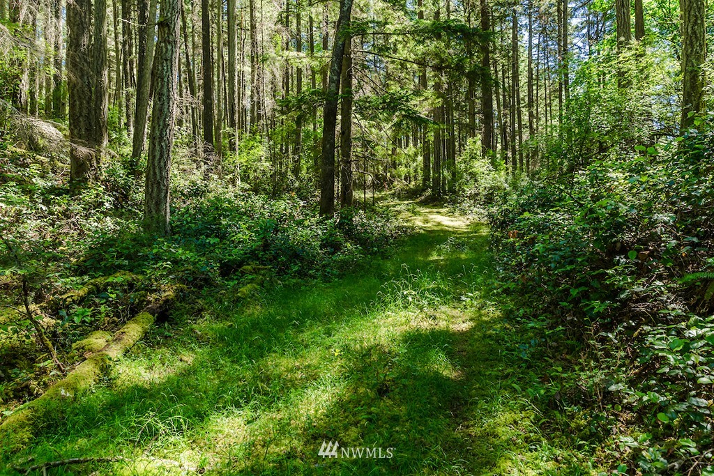 0 Guthrie Cove Road Orcas Island, WA 98280 - Photo 19 of 25 Gallery Image 19